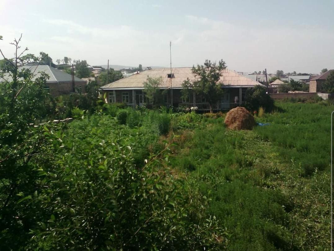 The Lichk Lodge المظهر الخارجي الصورة